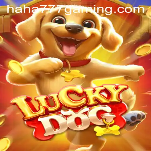 Exploring the World of LuckyDog: A Thrilling Adventure Awaits